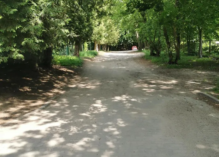 Apartment Przy Lesie *